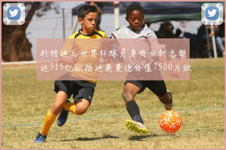 科特迪瓦世界杯球员身价分析总额达515亿欧扬迪奥曼德价值7500万欧