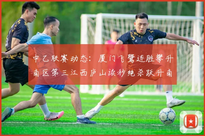 中乙联赛动态：厦门飞鹭连胜攀升南区第三江西庐山读秒绝杀跃升南区第四
